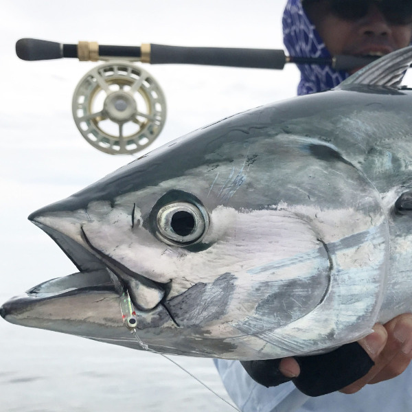 Asian friendly fishing charters