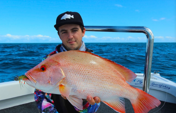 red emperor hervey bay sportfishing