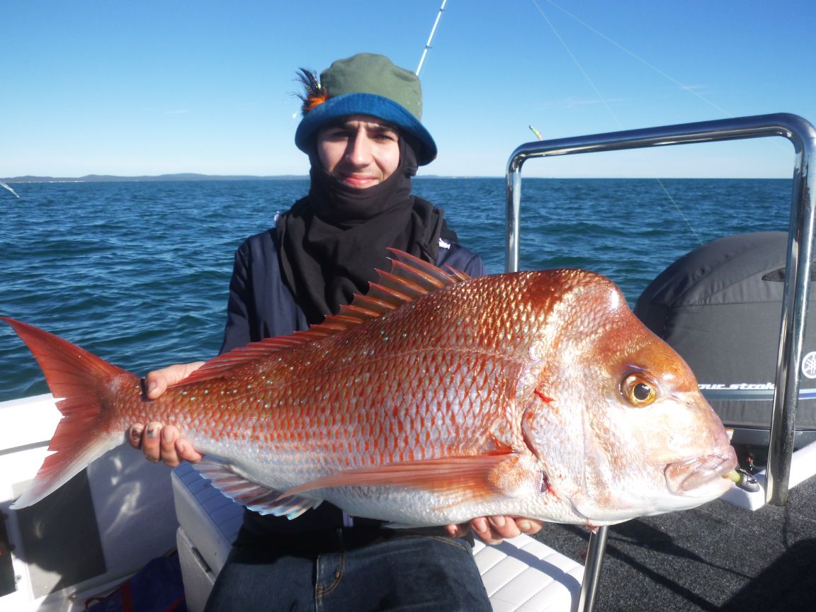 Fishing Charter Photos - Hervey Bay Fly and Sportfishing