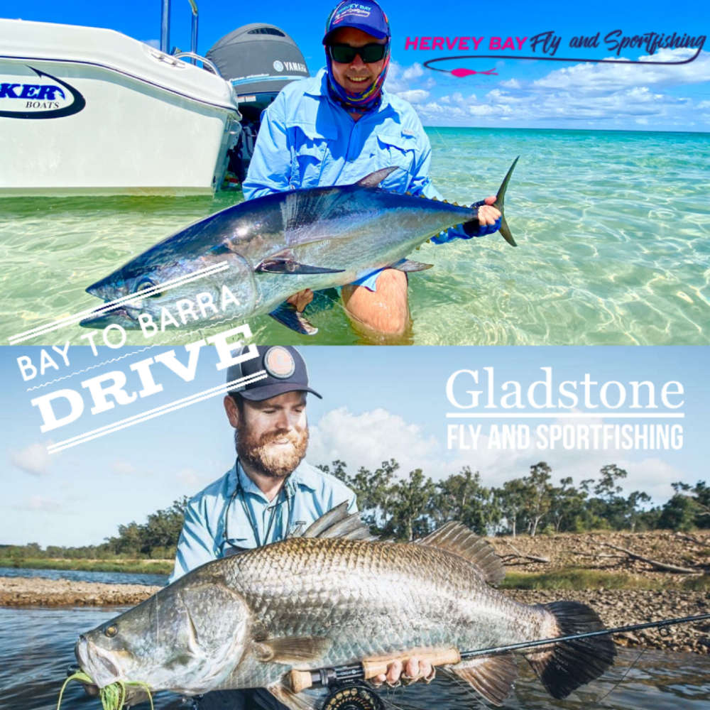 bay to barra drive - hervey bay sportfishing and gladstone sportfishing charters