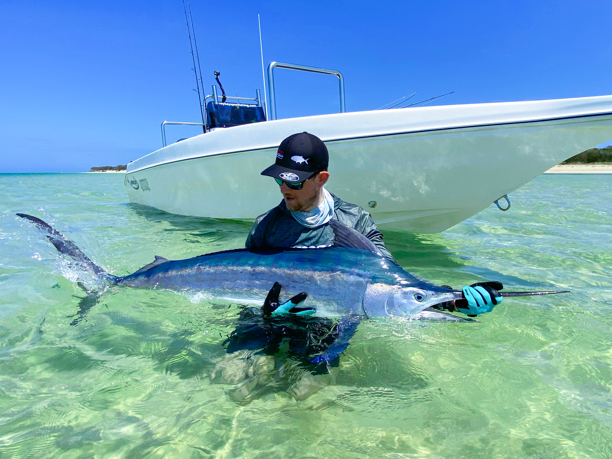 bringing in a mac tuna hervey bay qld - hervey bay fly and sportfishing charters