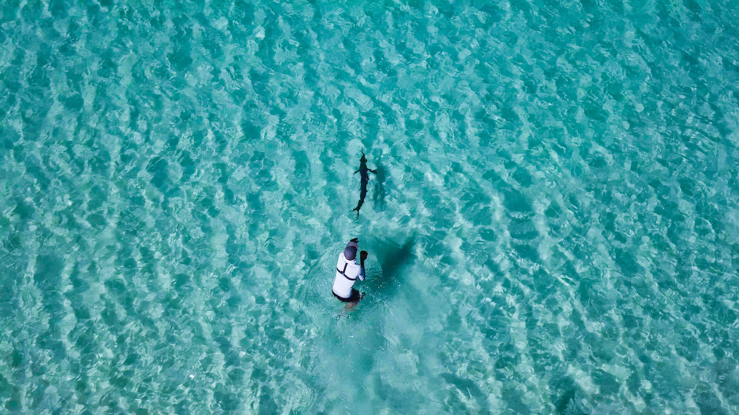 Hervey Bay is the gateway to Fraser Island and the great sandy straits marine park