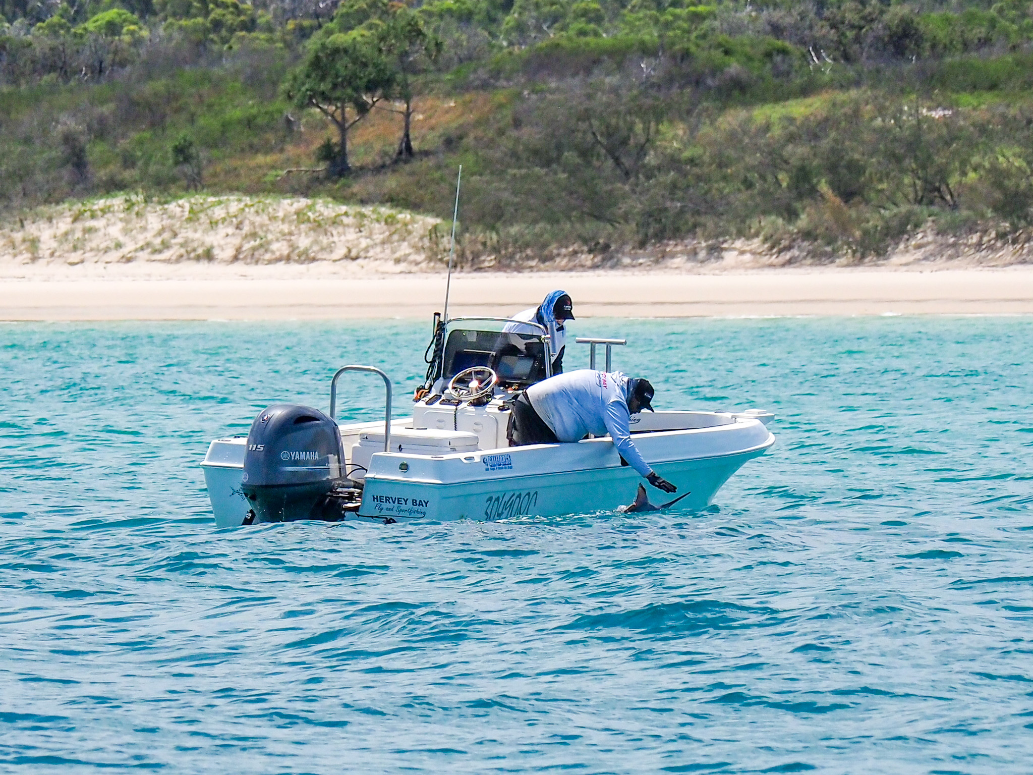 our vessels - deceiver on the water in hervey bay