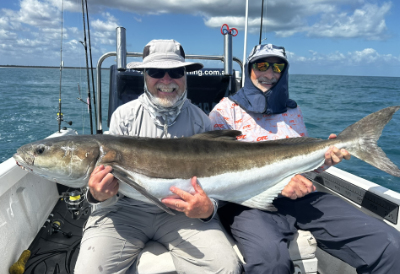 spring fishing newsletter hervey bay queensland fishing